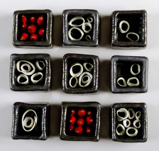 Jenni Ward ceramic sculpture | specimen series