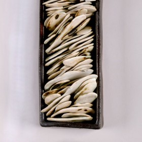 Jenni Ward ceramic sculpture | specimen series | the dirt