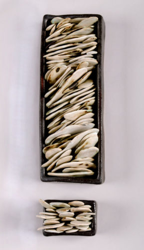 Jenni Ward ceramic sculpture | specimen series | the dirt