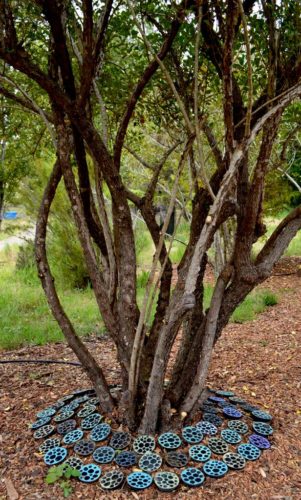 Tree Pools | Installations | Jenni Ward ceramic sculpture