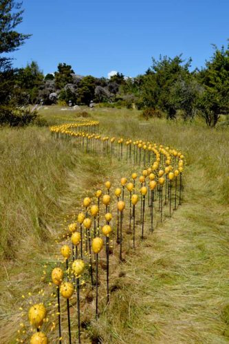 Umbel Series | Installations | Jenni Ward ceramic sculpture