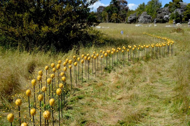 Umbel Series | Installations | Jenni Ward ceramic sculpture