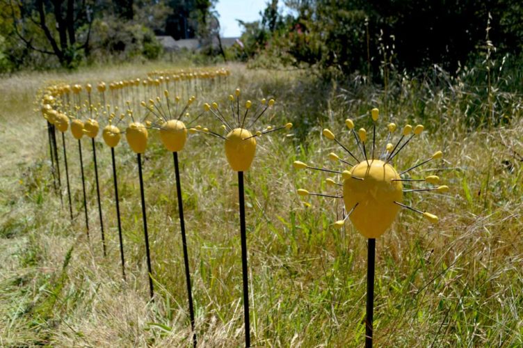 Umbel Series | Installations | Jenni Ward ceramic sculpture