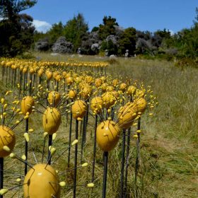 Umbel Series | Installations | Jenni Ward ceramic sculpture