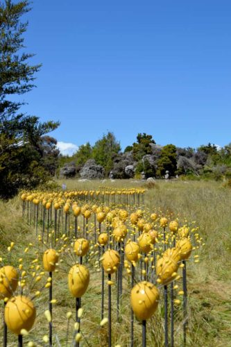 Umbel Series | Installations | Jenni Ward ceramic sculpture