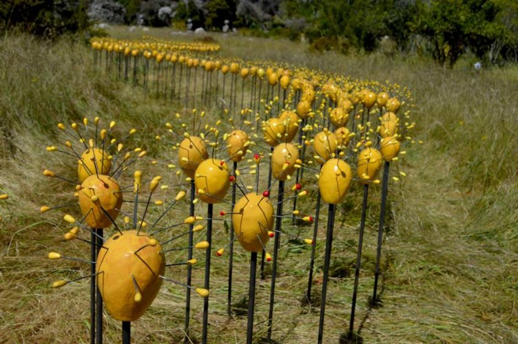 Umbel Series | Installations | Jenni Ward ceramic sculpture