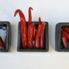 jenni ward ceramic sculpture | specimen series