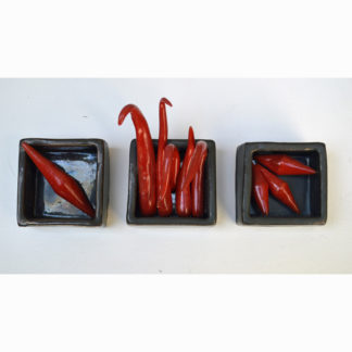 jenni ward ceramic sculpture | specimen series
