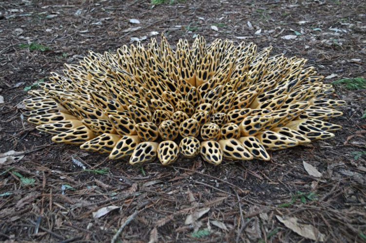 Jenni Ward ceramic sculpture | hive series | in the field installation