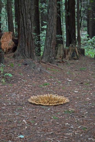 Jenni Ward ceramic sculpture | hive series | in the field installation