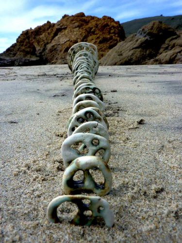 jenni ward ceramic sculpture | bone series in the field