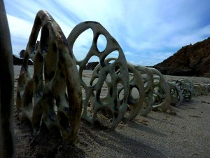 jenni ward ceramic sculpture | bone series in the field