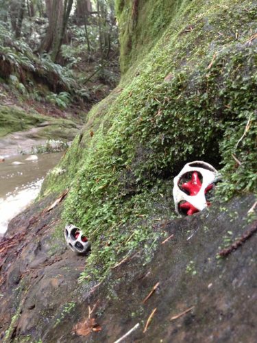 jenni ward ceramic sculpture | in the field | nest series