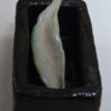 jenni ward ceramic sculpture | specimen series