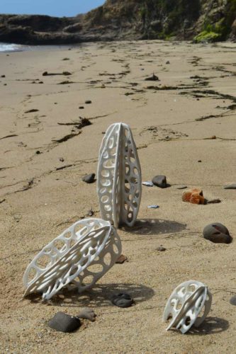 jenni ward ceramic sculpture | in the field | bone series