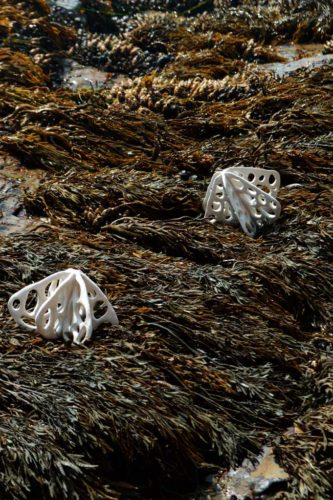 jenni ward ceramic sculpture | in the field | bone series