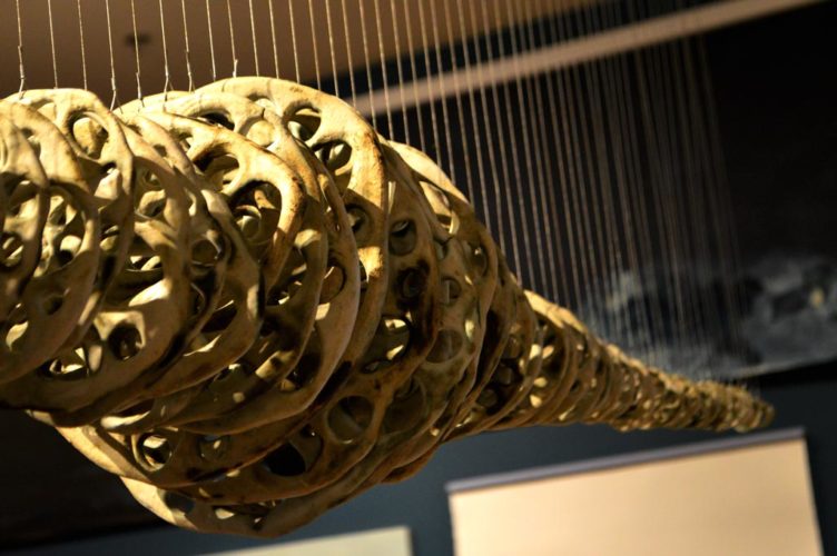 Jenni Ward ceramic sculpture | bone series | museum of art and history