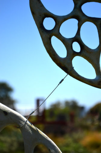 Jenni Ward ceramic sculpture | installations | bone series outdoor installation