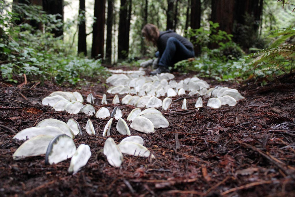 Sneak Peek: New In the Field Installation | the dirt | Jenni Ward ceramic sculpture