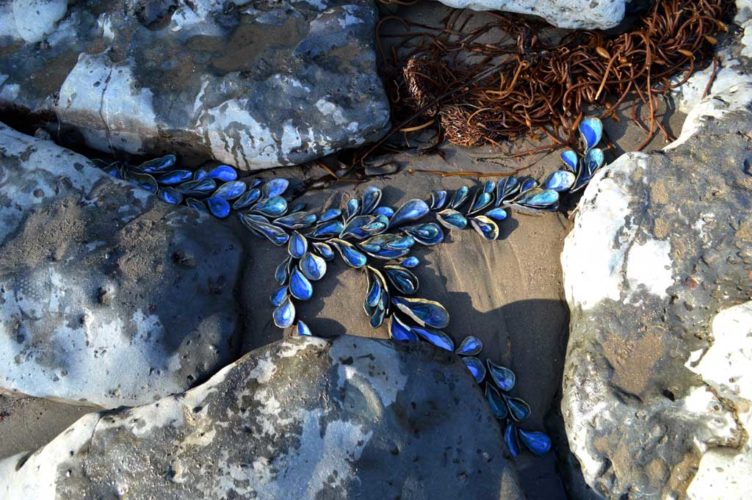 Jenni Ward ceramic sculpture | tide pool series