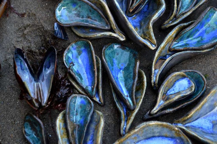 tide pool series aptos ca Jenni Ward