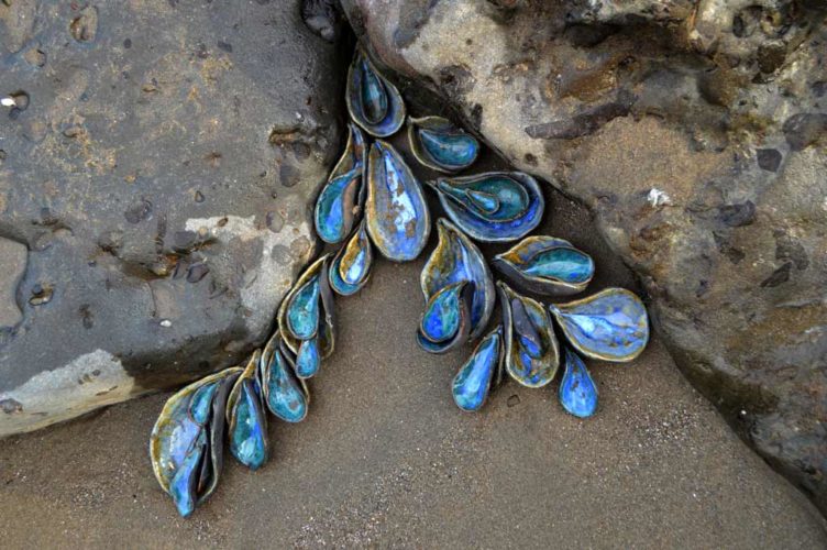 Jenni Ward ceramic sculpture | tide pool series