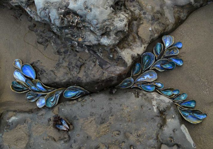 tide pool series aptos ca Jenni Ward