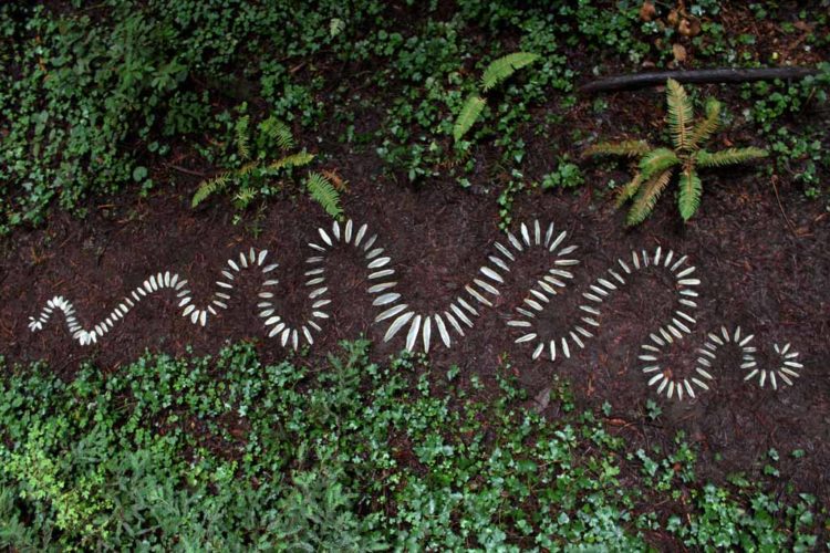 Jenni Ward ceramic sculpture | in the field | lichen series