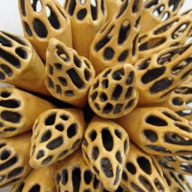 Hive Series | shop | Jenni Ward ceramic sculpture