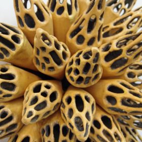 Hive Series | shop | Jenni Ward ceramic sculpture