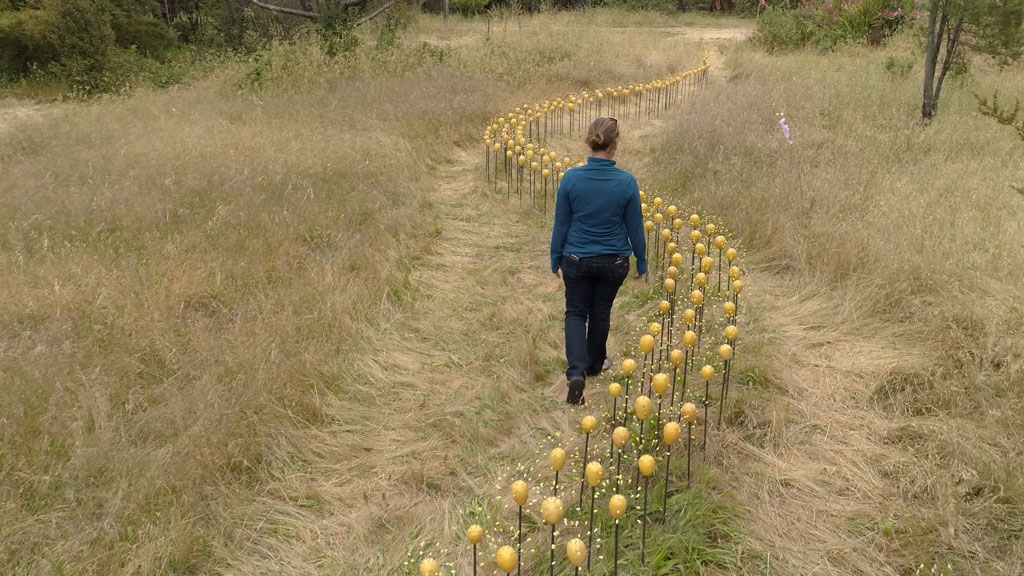 Walking the Trail of Umbels | the dirt | Jenni Ward ceramic sculpture