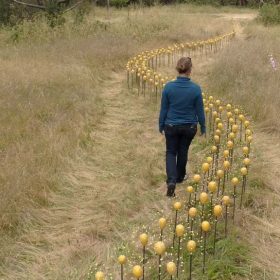 New Video: Drone Footage of the Umbel Series Installation | the dirt | Jenni Ward ceramic sculpture