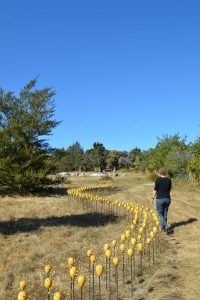 Where Have All the Umbels Gone? | the dirt | Jenni Ward ceramic sculpture