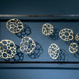 Framed Bone Series | Shop | Jenni Ward ceramic sculpture
