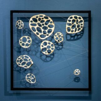 Framed Bone Series | Shop | Jenni Ward ceramic sculpture