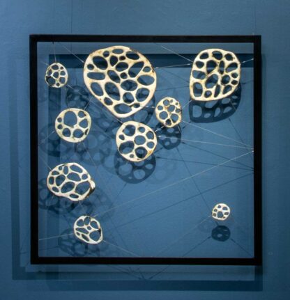 Framed Bone Series | Shop | Jenni Ward ceramic sculpture