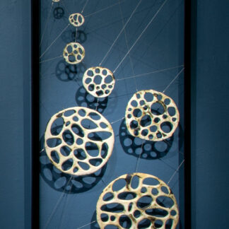 Framed Bone Series | Shop | Jenni Ward ceramic sculpture