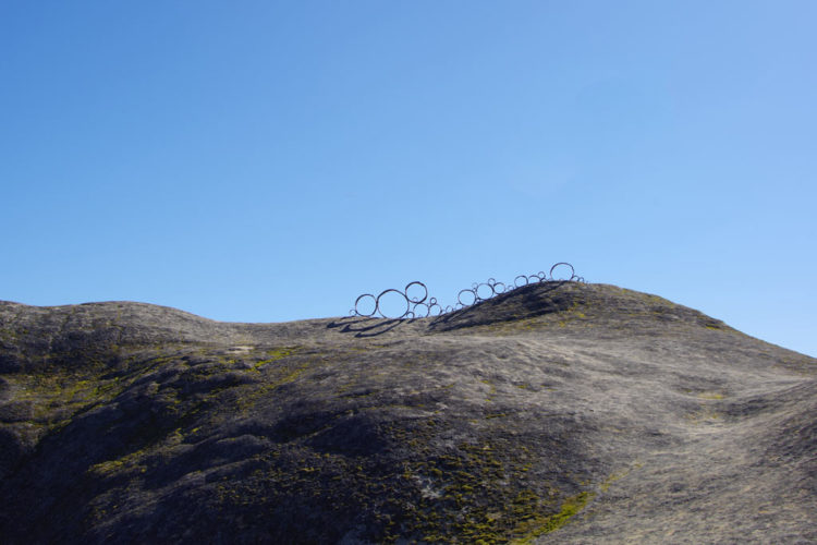 Relic Series | in the field | Jenni Ward ceramic sculpture