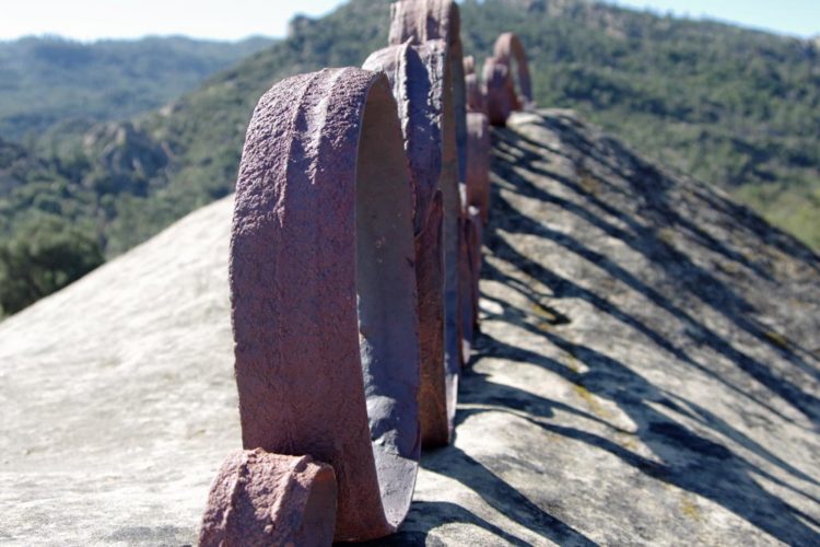 Relic Series | in the field | Jenni Ward ceramic sculpture