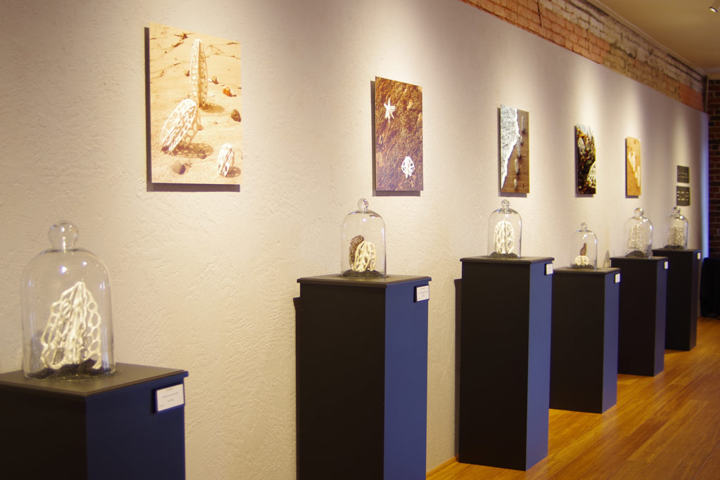 where art & nature meet exhibit | installations | Jenni Ward ceramic sculpture