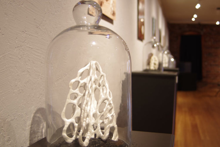 where art & nature meet exhibit | installations | Jenni Ward ceramic sculpture