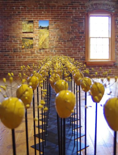 where art & nature meet exhibit | installations | Jenni Ward ceramic sculpture