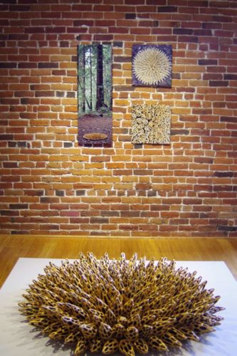 where art & nature meet exhibit | installations | Jenni Ward ceramic sculpture