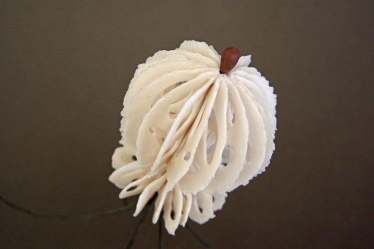 Bone Series: medusas | shop | Jenni Ward ceramic sculpture