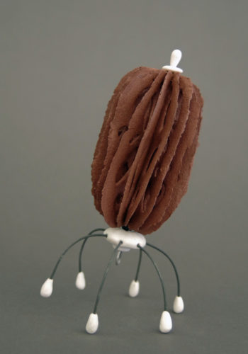 Bone Series: medusas | shop | Jenni Ward ceramic sculpture