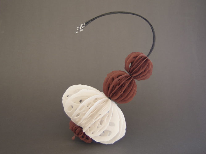 Bone Series: medusas | shop | Jenni Ward ceramic sculpture