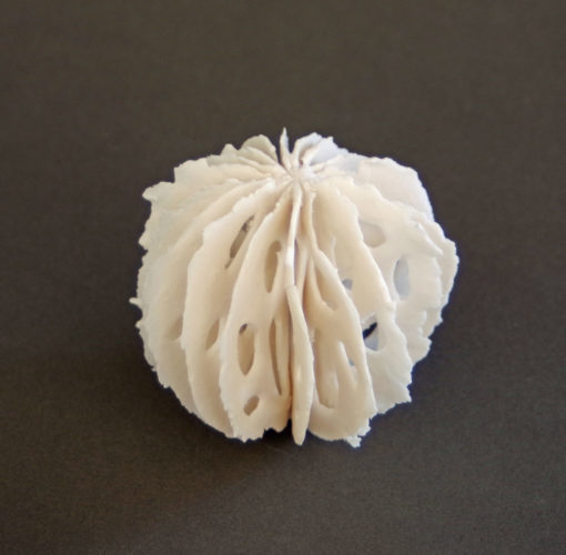 bone series: urchins | shop | Jenni Ward ceramic sculpture