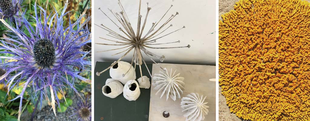 Week Two: Artist in Residence at the Fish Factory | the dirt | Jenni Ward ceramic sculpture