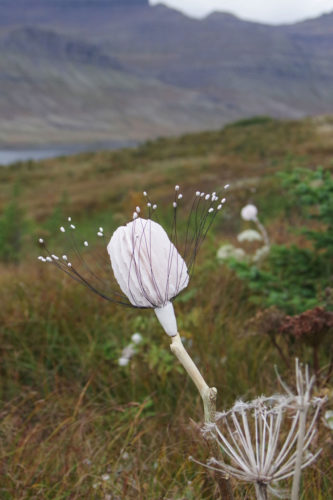 Artist In Residence | Iceland | In the Field | Jenni Ward ceramic sculpture
