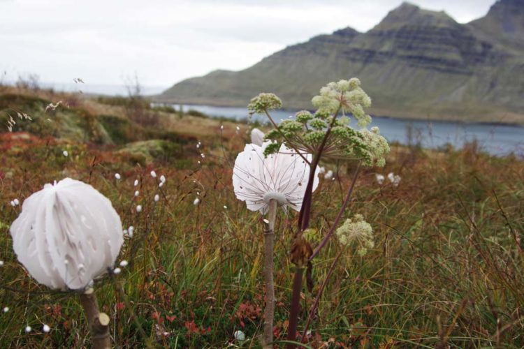 Artist In Residence | Iceland | In the Field | Jenni Ward ceramic sculpture